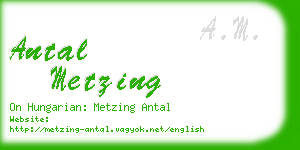 antal metzing business card